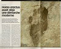 Homo Erectus, sa dmarche